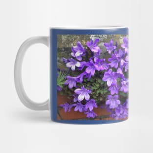 Siberian Bellflower on Garden Wall Mug